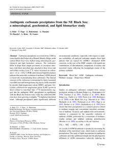Authigenic carbonate precipitates from the NE Black Sea: