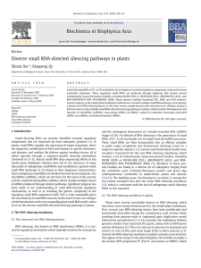 Diverse small RNA-directed silencing pathways in plants Zhixin Xie , Xiaopeng Qi ⁎