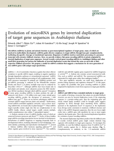 Evolution of microRNA genes by inverted duplication Edwards Allen , Zhixin Xie