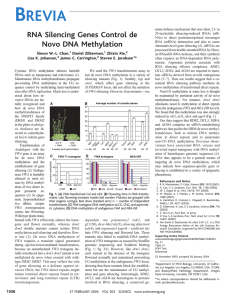 RNA Silencing Genes Control de Novo DNA Methylation