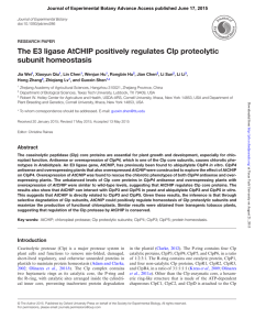 The E3 ligase AtCHIP positively regulates Clp proteolytic subunit homeostasis