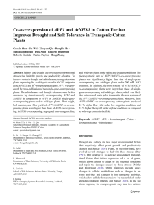 AVP1 and AtNHX1 in Cotton Further Co-overexpression of