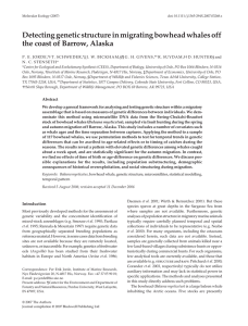 Detecting genetic structure in migrating bowhead whales off