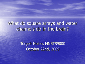 What do square arrays and water channels do in the brain?