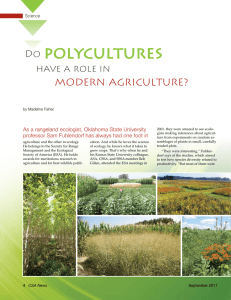 polycultures modern agriculture? Do have a role in