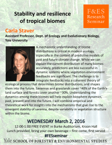 Stability and resilience  of tropical biomes Carla Staver Assistant Professor, Dept. of Ecology and Evolutionary Biology, 