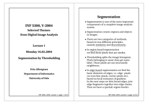 Segmentation INF 5300, V-2004 Selected Themes