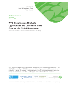 WTO Disciplines and Biofuels: Opportunities and Constraints in the International