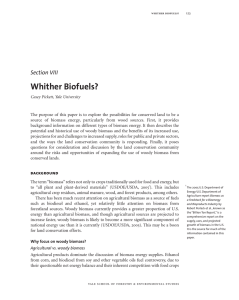 Whither Biofuels? Section VIII