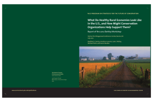 What Do Healthy Rural Economies Look Like Organizations Help Support Them?