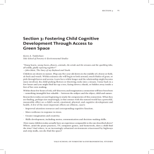 Section 3: Fostering Child Cognitive Development Through Access to Green Space