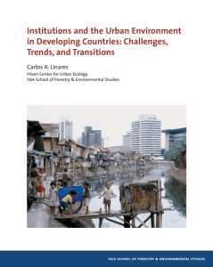 Institutions and the Urban Environment in Developing Countries: Challenges, Trends, and Transitions