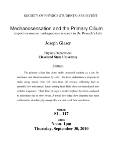 Joseph Glaser (report on summer undergraduate research in Dr. Resnick’s lab)