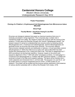 Essay Thesis Statement Ideal Husband Essay Vaudeville Theatre Reviews Thesis Argumentative Essay also Essay Vs Research Paper Dissertation Meaning In Marathi Karma Health Essays