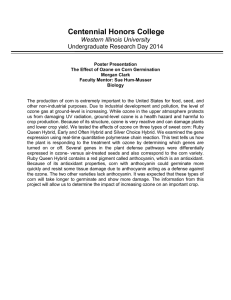 Centennial Honors College Western Illinois University Undergraduate Research Day 2014