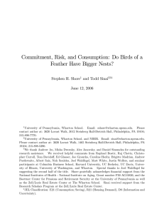 Commitment, Risk, and Consumption: Do Birds of a Stephen H. Shore