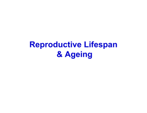 Reproductive Lifespan &amp; Ageing