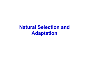 Natural Selection and Adaptation