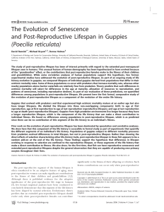 The Evolution of Senescence and Post-Reproductive Lifespan in Guppies (Poecilia reticulata)