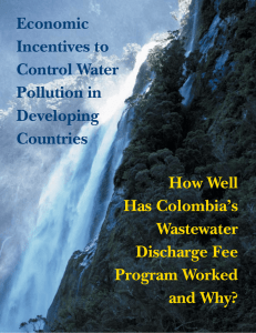 Economic Incentives to Control Water Pollution in