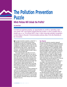The Pollution Prevention Puzzle Which Policies Will Unlock the Profits?