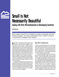 Small Is Not Necessarily Beautiful Coping with Dirty Microenterprises in Developing Countries