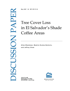 DISCUSSION PAPER Tree Cover Loss in El Salvador’s Shade