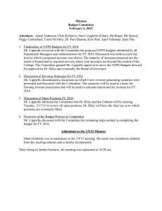 Minutes Budget Committee February 6, 2015