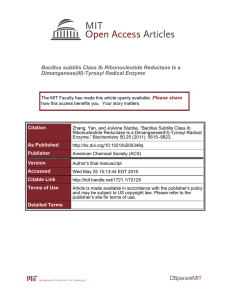 Bacillus subtilis Class Ib Ribonucleotide Reductase Is a Dimanganese(III)-Tyrosyl Radical Enzyme