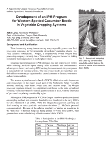 Development of an IPM Program for Western Spotted Cucumber Beetle