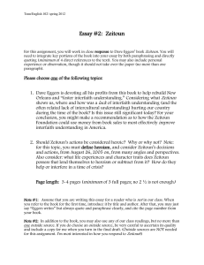 Essay #2:  Zeitoun