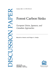 DISCUSSION PAPER Forest Carbon Sinks European Union, Japanese, and