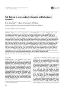 Tail docking in pigs: acute physiological and behavioural responses animal M. A. Sutherland