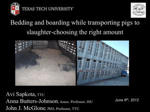 Bedding and boarding while transporting pigs to slaughter-choosing the right amount