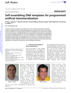 Self-assembling DNA templates for programmed artificial biomineralization