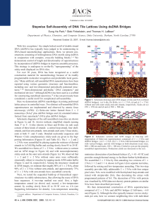 Stepwise Self-Assembly of DNA Tile Lattices Using dsDNA Bridges