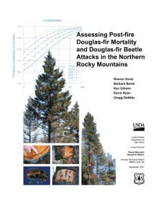 Assessing Post-fire Douglas-fir Mortality and Douglas-fir Beetle Attacks in the Northern