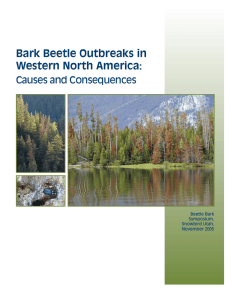 Bark Beetle Outbreaks in Western North America: Causes and Consequences Beetle Bark