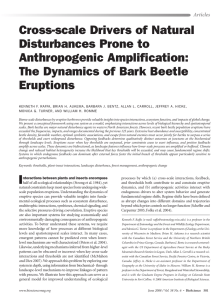 Cross-scale Drivers of Natural Disturbances Prone to Anthropogenic Amplification: