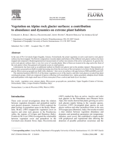 Vegetation on Alpine rock glacier surfaces: a contribution
