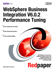 WebSphere Business Integration V6.0.2 Performance Tuning Front cover