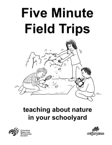 Five Minute Field Trips teaching about nature in your schoolyard
