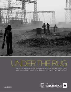 UNDER THE RUG HOW GOVERNMENTS AND INTERNATIONAL INSTITUTIONS JUNE 2015