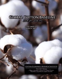 Global Cotton Baseline 2008/