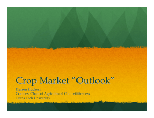 Crop Market “ Outlook ”