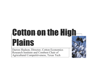 Cotton on the High Plains