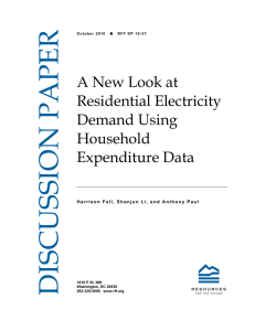 DISCUSSION PAPER A New Look at Residential Electricity