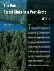 T The Role of Forest Sinks in a Post-Kyoto World
