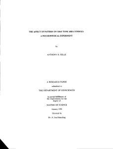 ANTHONY R. SELLE A RESEARCH PAPER submitted to THE DEPARTMENT OF GEOSCIENCES