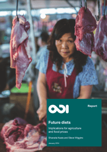 Future diets Implications for agriculture and food prices Report